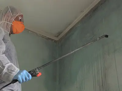 home-restoration-contractor-OK-Oklahoma-MO-Missouri-mold-remediation-6